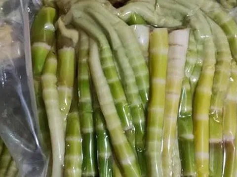 Măng trúc Hà Giang giá đầu mùa đắt đỏ nhưng khách vẫn đặt cả chục kg về ăn