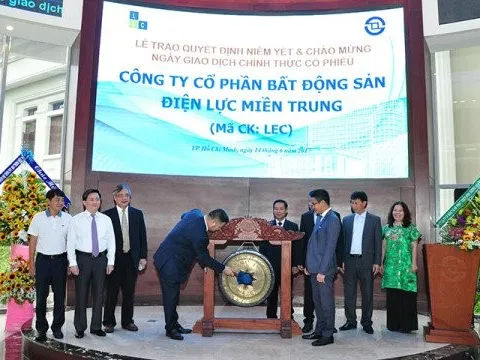 Một cổ phiếu giảm sàn 5 phiên sau chuỗi 12 phiên tăng trần liên tiếp