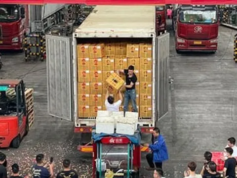 Xuất khẩu rau quả bỏ trống nhiều thị trường