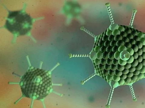 Sự tồn tại đáng kinh ngạc của vi rút Adenovirus