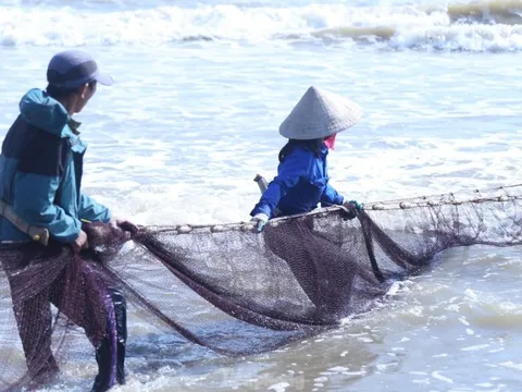 Khám phá nghề 'đi giật lùi' trên biển Cửa Lò