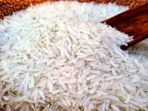 Giá gạo giảm mạnh nhất trong vòng 45 năm, người dân lo ngại giá thu mua thấp