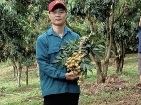 Chuyện những tỷ phú nông dân nơi đại ngàn