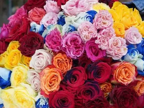 Cận kề dịp 20/10, giá hoa nhích từng ngày