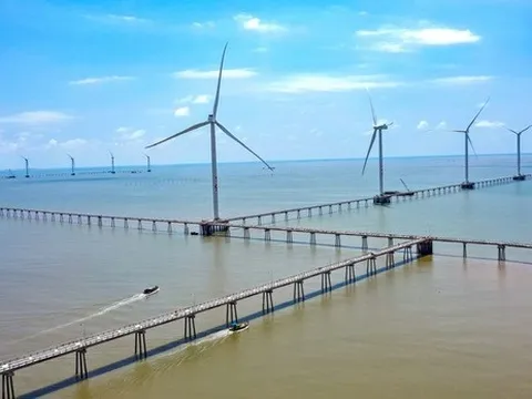 Doanh nghiệp điện gió Bạc Liêu than khó vì bị cắt giảm công suất phát điện