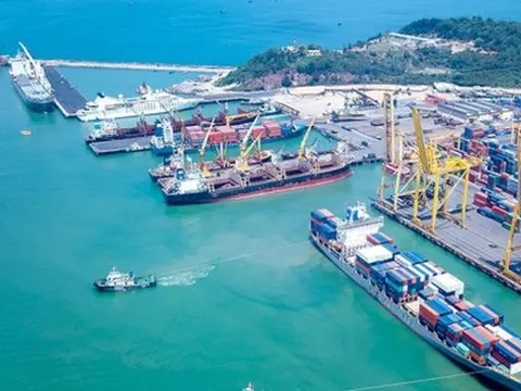 Xây dựng chính sách hỗ trợ DN vận tải biển chuyển đổi hoàn toàn sang năng lượng xanh