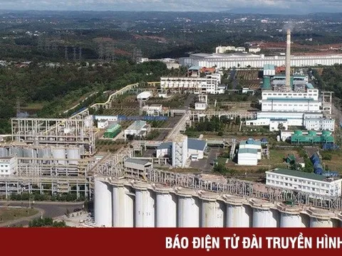 Hiệu quả từ các dự án bô-xít Tây Nguyên