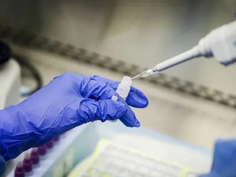 COVID-19: Các nhà khoa học Mỹ đang "đùa với lửa"