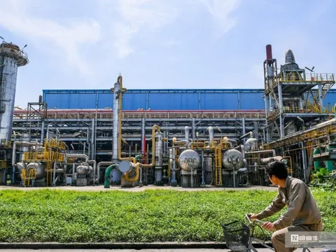 Nhà máy Đạm Ninh Bình "xanh hơn" sau chuyến khảo sát của Thủ tướng