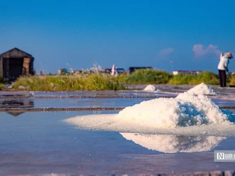 Vựa muối lớn nhất miền Bắc tất bật vào mùa thu hoạch