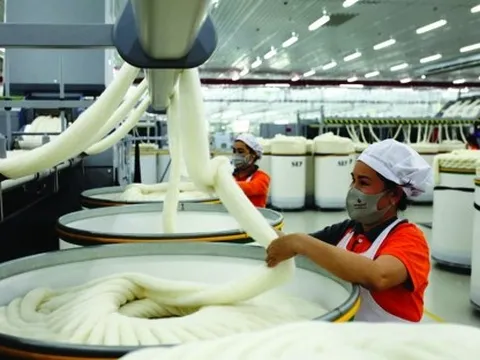 Lâm Đồng: Điểm sáng về tăng trưởng kinh tế