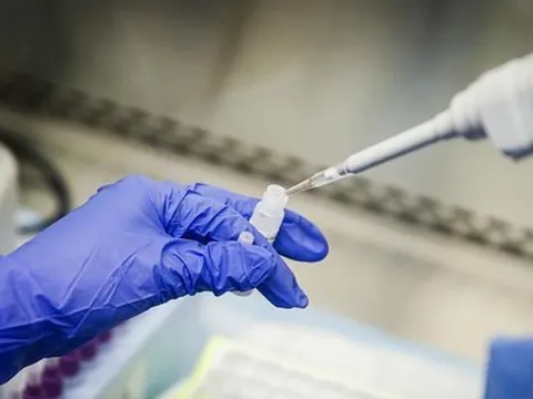 Nhà khoa học Mỹ tạo ra biến thể SARS-CoV-2 mới, tỷ lệ tử vong trên chuột 80%