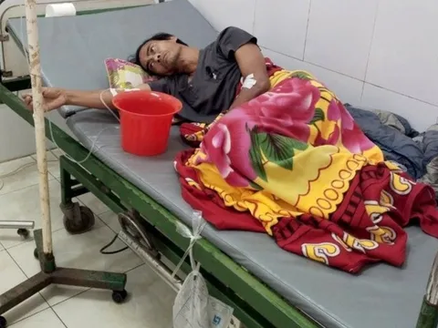 Nhầm trứng cóc là trứng ếch, 3 bố con ở Nghệ An nhập viện cấp cứu