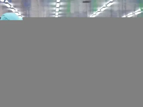 “Nữ hoàng cá tra" Vĩnh Hoàn lỗ đầu tư chứng khoán sau 9 tháng đầu năm