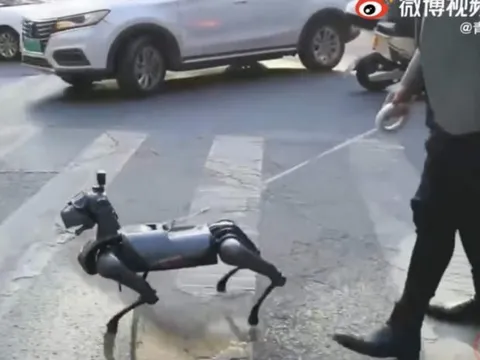 Thú vui mới của người Trung Quốc: nuôi chó robot làm cảnh, giá một con 'sương sương' hơn 300 triệu đồng