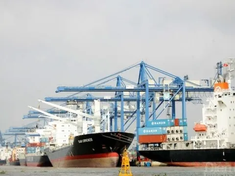 Cần “sếu đầu đàn” dẫn dắt ngành logistics