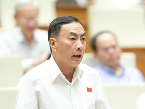 “Không ai rảnh đi họp để quyết định chuyện riêng của người khác”