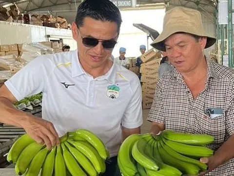 Trồng chuối và chăn heo, bầu Đức thu hơn 15 tỷ mỗi ngày