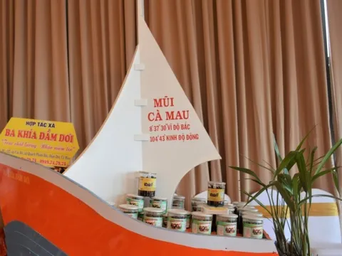 Cà Mau là vùng đất nhiều tiềm năng phát triển các dự án khởi nghiệp