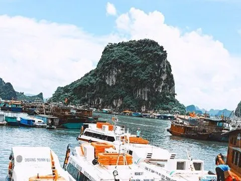 Tàu du lịch 'khóc thét' sau thông báo bất ngờ của cây xăng duy nhất tại Vân Đồn