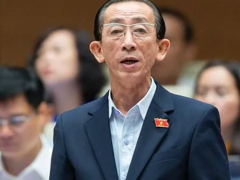 Đại biểu Trần Hoàng Ngân: Cần ủy quyền cho Ủy ban Thường vụ QH quyết về thuế xăng dầu