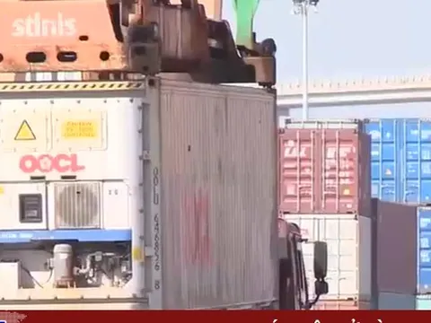 Bình ổn giá cước và dịch vụ hàng hải