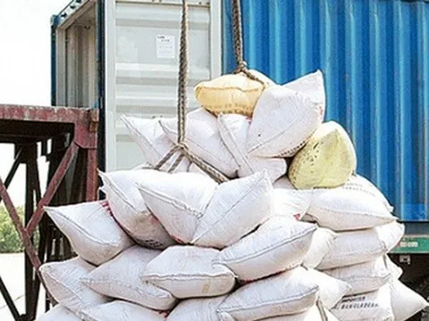 Giá gạo xuất khẩu Việt Nam cao nhất trong vòng 1 năm qua