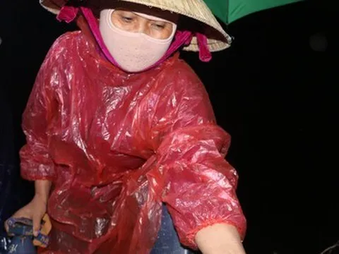 Đội đèn săn đặc sản 'kinh dị', nông dân kiếm tiền triệu mỗi đêm