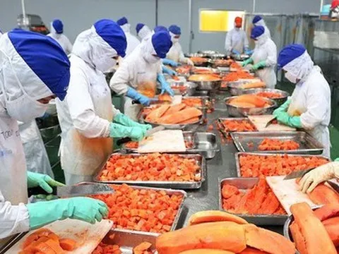 Xuất khẩu nông sản tăng sát mốc kỳ tích 54 tỷ USD