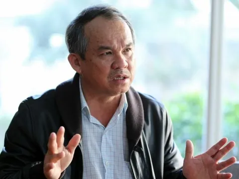 Nghệ thuật kinh doanh đằng sau những câu chuyện “heo ăn chuối”, “heo ăn chay”