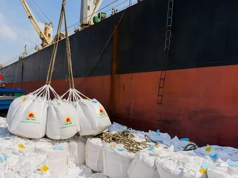 “Ông trùm" xuất khẩu gạo thu 30 tỷ đồng mỗi ngày