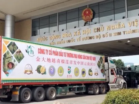 140 tấn sầu riêng xuất sang Trung Quốc qua cửa khẩu Lào Cai
