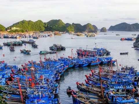 Quy hoạch cảng cá là “đòn bẩy” cho phát triển thủy sản bền vững