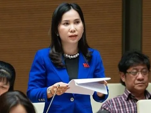 ĐBQH: Mâu thuẫn, thách đố nhau trên mạng dẫn đến ẩu đả ngoài đời thực