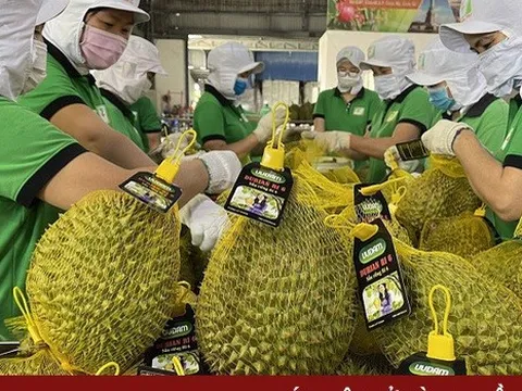 Tăng cường quan hệ thương mại Việt Nam - Trung Quốc