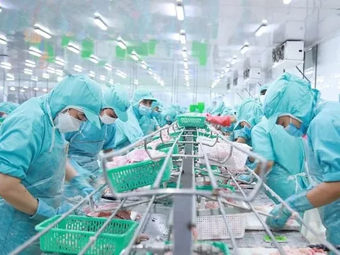 “Mất" gói hỗ trợ tài chính, Tập đoàn Sao Mai báo lãi đi lùi