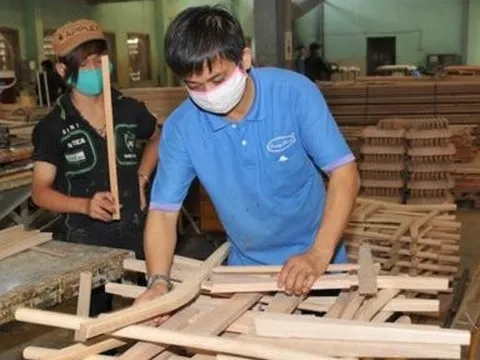 Báo lãi trở lại, Gỗ Trường Thành vẫn lỗ luỹ kế hơn 3.000 tỷ đồng