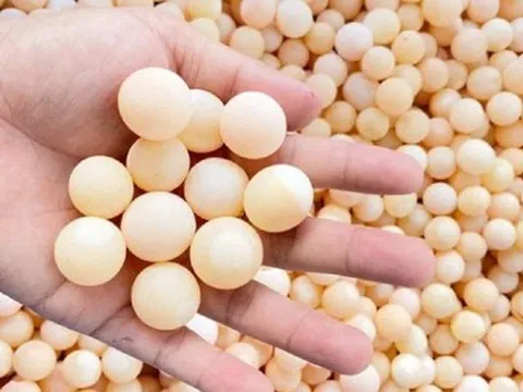 Loại trứng đẹp như ngọc, tưởng không ăn được mà ‘cháy’ hàng quanh năm