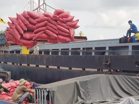 Gạo Việt vượt qua 'cái bóng' Thái Lan