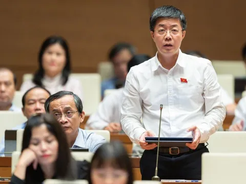 Kinh tế Việt Nam phục hồi tốt, ‘nội soi sức khoẻ’ doanh nghiệp vẫn yếu