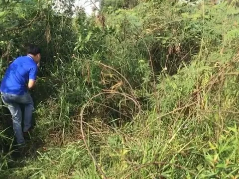 Một phụ nữ chết trong tư thế bất thường ở Bình Phước