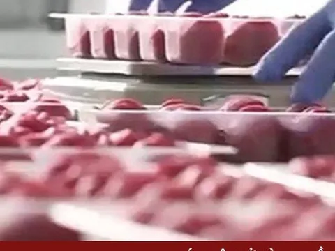 Thị trường thịt “3F” ngày càng cạnh tranh