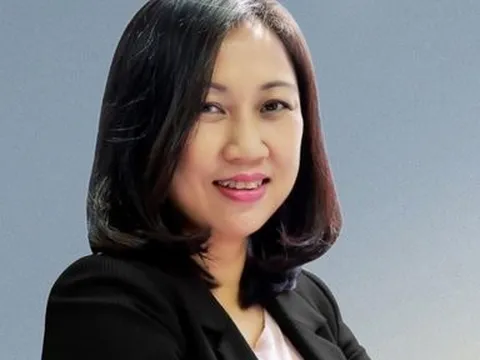 Lãnh đạo đồng loạt từ nhiệm, HĐQT FLC Faros chỉ còn 1 người