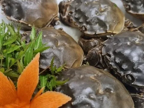 Đặc sản cua da Bắc Giang giá "đắt khét" vẫn khan hàng