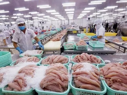 Xuất khẩu thủy sản Việt Nam cán mốc kỷ lục lịch sử