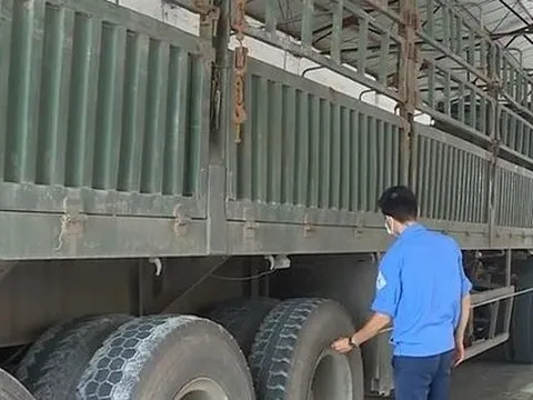 Hơn 19.000 phương tiện bị trượt đăng kiểm