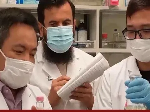 Tìm ra chất ức chế tế bào ung thư từ lúa gạo