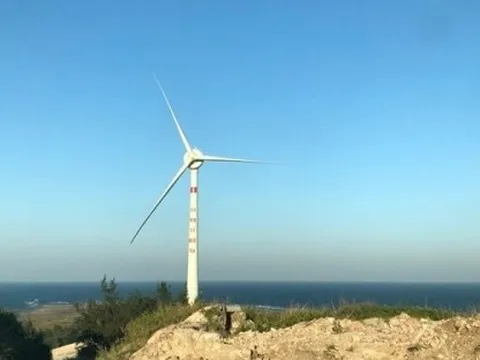 Hải Phòng: Xúc tiến thương mại và đầu tư với Đan Mạch trong lĩnh vực điện gió ngoài khơi