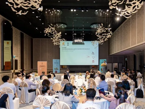 Chuyên gia quốc tế 'hiến kế' giúp Việt Nam giám sát hoạt động kiểm toán độc lập hiệu quả