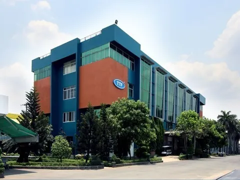 Tìm cơ hội trong thách thức, doanh thu TTF vượt 39% cùng kỳ